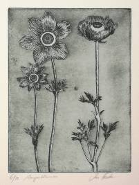 &quot;Augen-Blumen&quot;, 15 x 20 cm, Radierung f&uuml;r den Lyrik-Band &quot;Leben malen&quot; von Helga Braun
